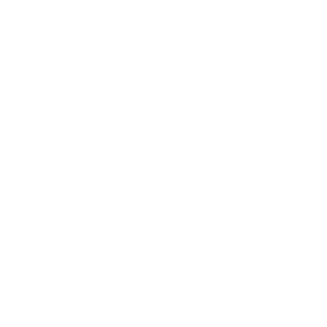 A2Z logo